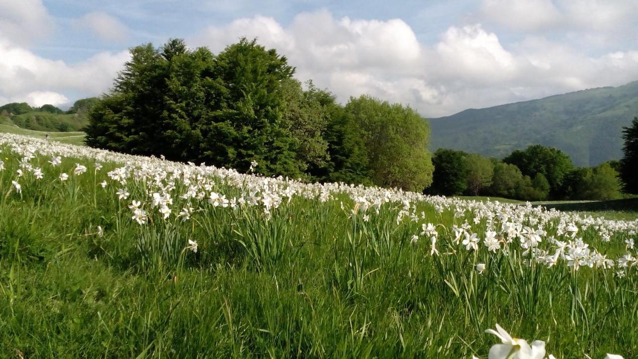 La Casina Di Croxe Bed & Breakfast Crocefieschi Dış mekan fotoğraf